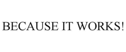 BECAUSE IT WORKS! trademark