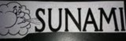 SUNAMI trademark