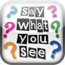 SAY WHAT YOU SEE trademark