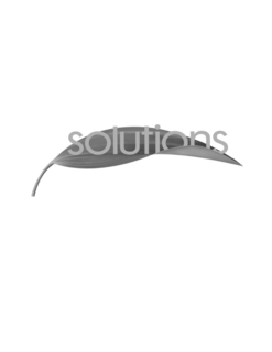 SOLUTIONS trademark