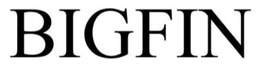BIG FIN trademark