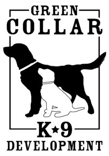 GREEN COLLAR K 9 DEVELOPMENT trademark