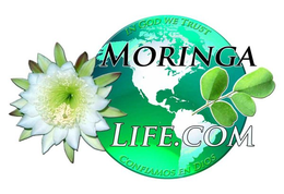 MORINGA LIFE.COM IN GOD WE TRUST CONFIAMOS EN DIOS trademark