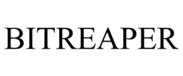 BITREAPER trademark