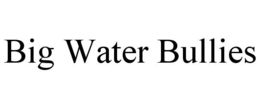 BIG WATER BULLIES trademark