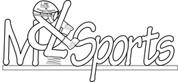 M&LSPORTS, M&L POGO TEAM trademark