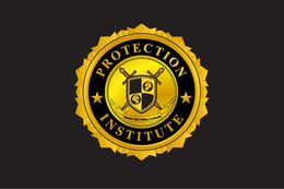 PROTECTION INSTITUTE AMAT VICTORIA CURAM trademark