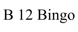 B 12 BINGO trademark