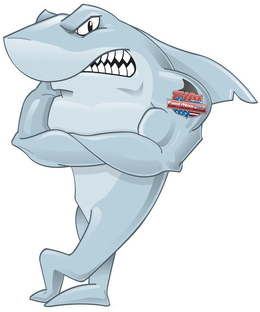FIN USA FINDITNOW GPS ALERT · LOCATE · RECOVER trademark