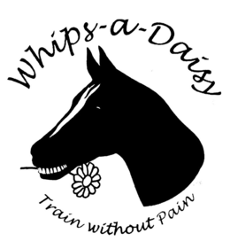 WHIPS-A-DAISY TRAIN WITHOUT PAIN trademark