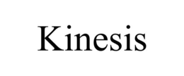 KINESIS trademark