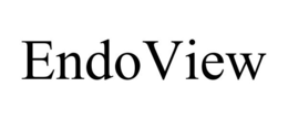 ENDOVIEW trademark