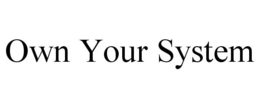 OWN YOUR SYSTEM trademark
