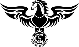 REINING AUTHORITY C S trademark