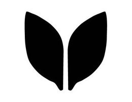WY trademark