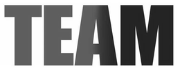 TEAM trademark