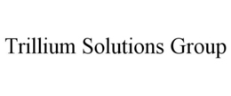 TRILLIUM SOLUTIONS GROUP trademark