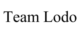TEAM LODO trademark