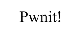 PWNIT! trademark