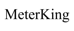 METERKING trademark