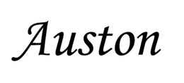 AUSTON trademark