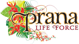 PRANA LIFE FORCE trademark