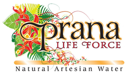 PRANA LIFE FORCE NATURAL ARTESIAN WATER trademark