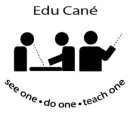 EDU CANÉ SEE ONE · DO ONE · TEACH ONE trademark