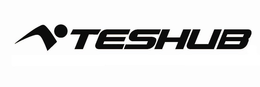 TESHUB trademark