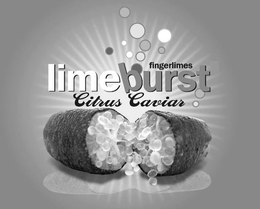 FINGERLIMES LIMEBURST CITRUS CAVIAR trademark
