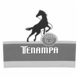 T TENAMPA trademark