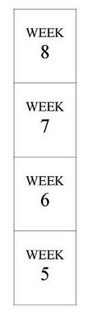 WEEK 8 WEEK 7 WEEK 6 WEEK 5 trademark