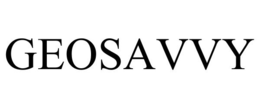 GEOSAVVY trademark