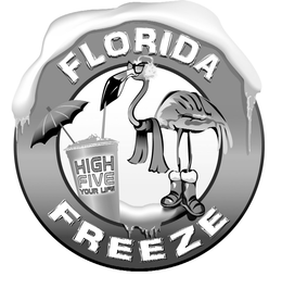 FLORIDA FREEZE HIGH FIVE YOUR LIFE trademark