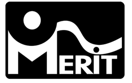 MERIT trademark