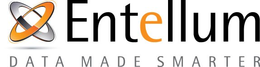 ENTELLUM DATA MADE SMARTER trademark