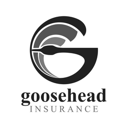 G GOOSEHEAD INSURANCE trademark