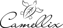 CAMELLIX trademark