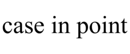 CASE IN POINT trademark
