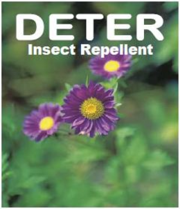 DETER INSECT REPELLENT trademark