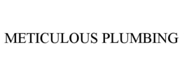 METICULOUS PLUMBING trademark