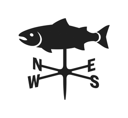 N E W S trademark