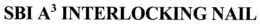 SBI A3 INTERLOCKING NAIL trademark