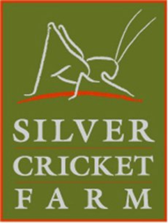 SILVER CRICKET FARM trademark