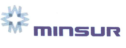 M MINSUR trademark