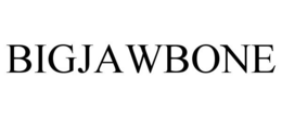 BIGJAWBONE trademark