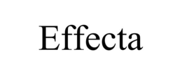 EFFECTA trademark