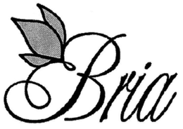 BRIA trademark