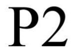 P2 trademark
