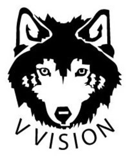 V VISION trademark